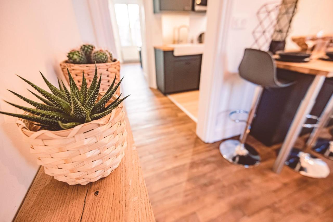 Charme De L'Ancien Pour Cet Appartement Entierement Renove Dans L'Hypercentre De Remeš Exteriér fotografie